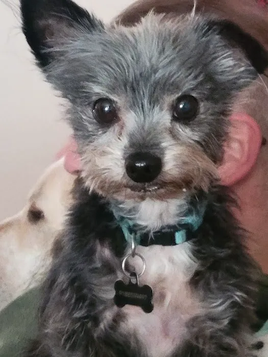 The Ark Animal Hospital Picture 1