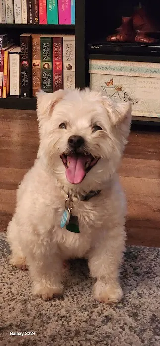 The Ark Animal Hospital Picture 6