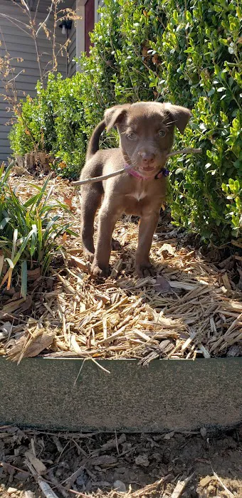 The Ark Animal Hospital Picture 10