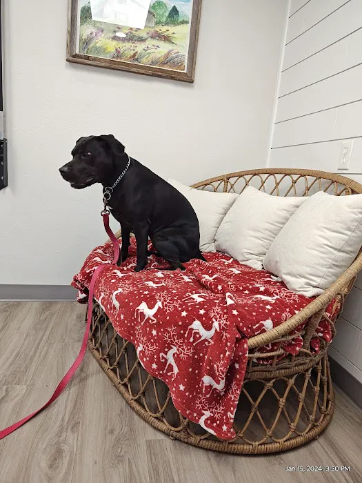 Premier Pet Clinic Picture 6