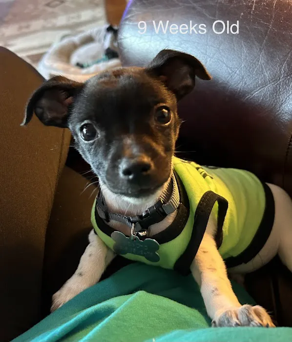 Hobbs Veterinary Clinic Picture 1