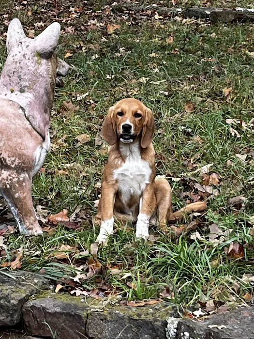 Hobbs Veterinary Clinic Picture 2