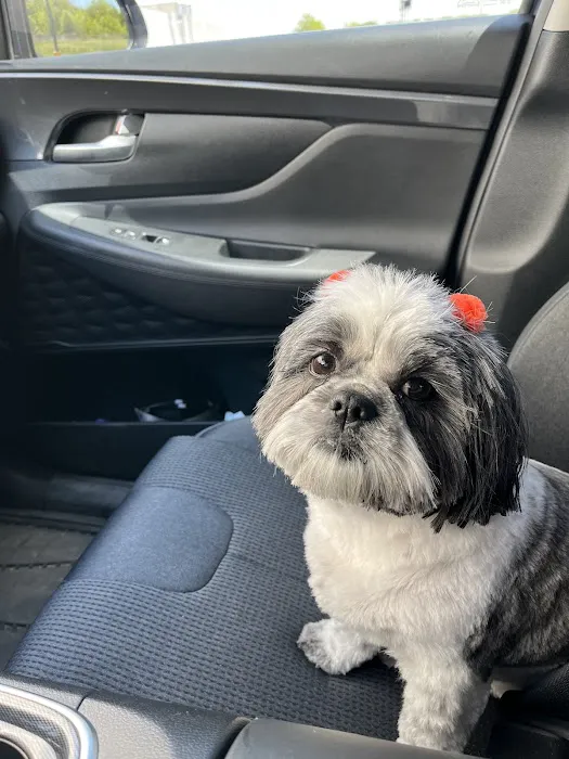 Hobbs Veterinary Clinic Picture 5