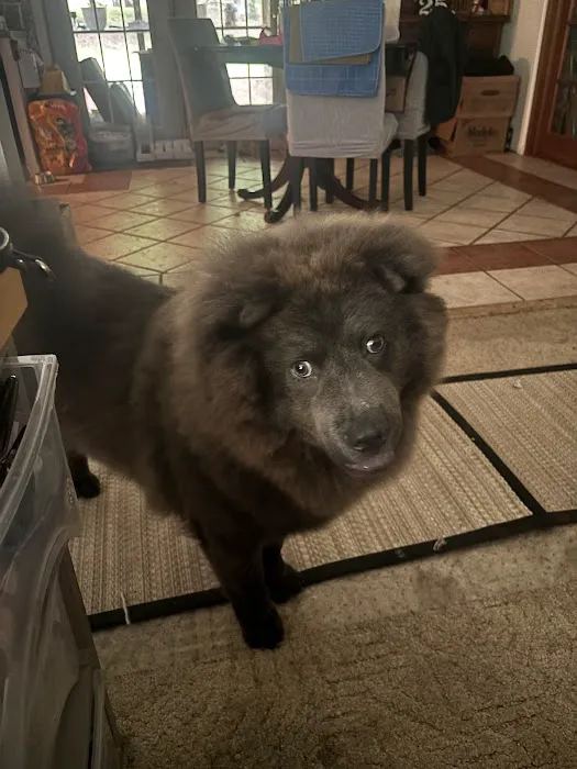 Hobbs Veterinary Clinic Picture 6