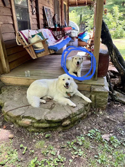 Hobbs Veterinary Clinic Picture 4