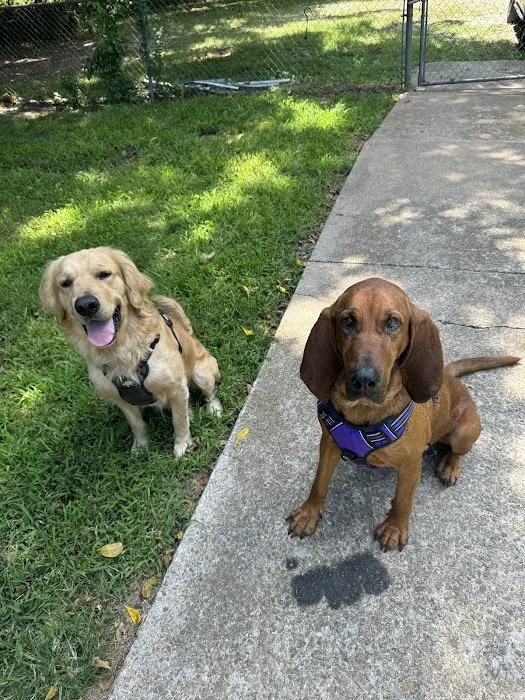 Hobbs Veterinary Clinic Picture 7