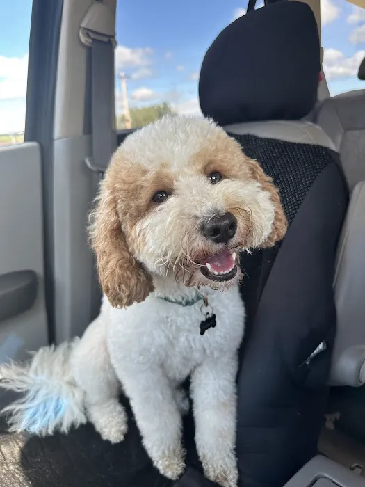 Hobbs Veterinary Clinic Picture 10