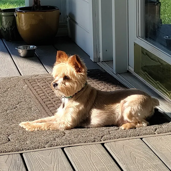 Hobbs Veterinary Clinic Picture 9