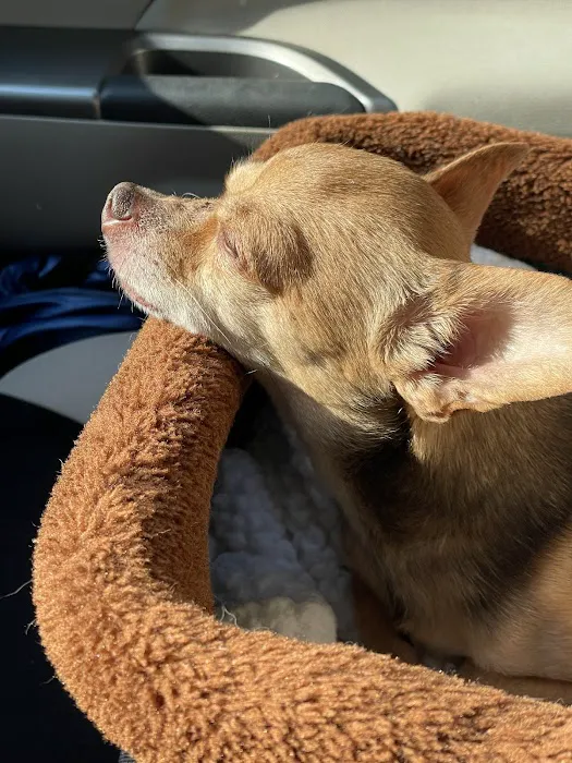 Hobbs Veterinary Clinic Picture 8