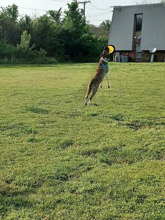 Lakeside Veterinary Services PLLC Picture 3