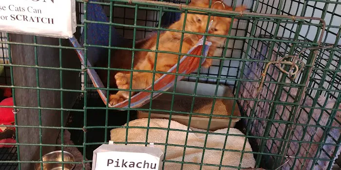 Lakeside Veterinary Services PLLC Picture 7