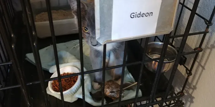 Lakeside Veterinary Services PLLC Picture 5