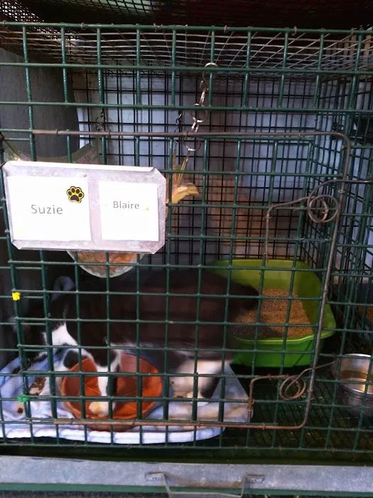 Lakeside Veterinary Services PLLC Picture 6