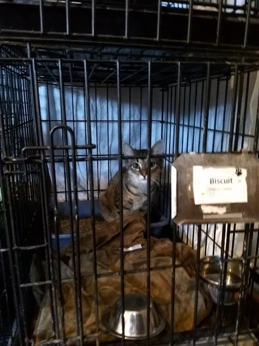 Lakeside Veterinary Services PLLC Picture 10