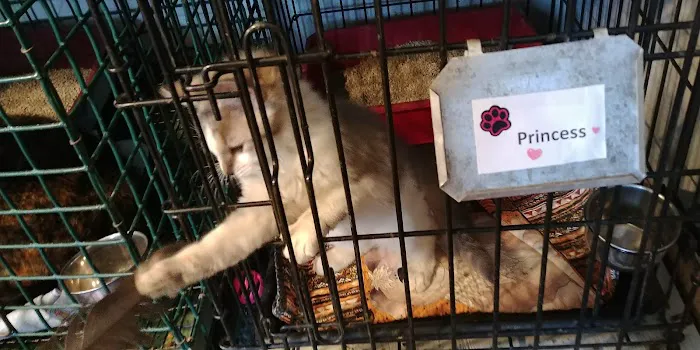 Lakeside Veterinary Services PLLC Picture 9