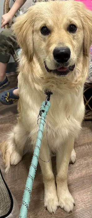 Premier Pet Clinic West Picture 1