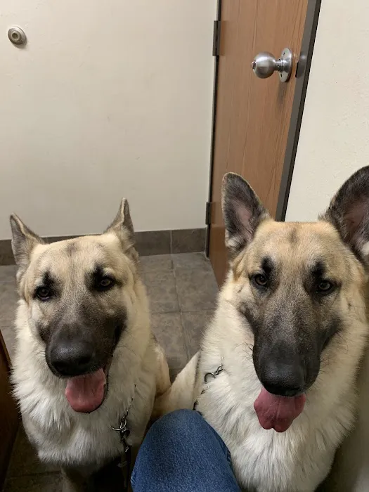 Northside Animal Clinic Picture 2