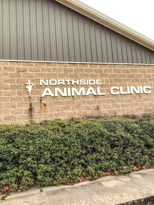 Northside Animal Clinic Picture 4