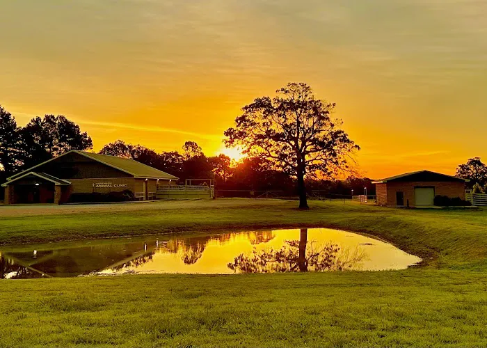 Northside Animal Clinic Picture 5