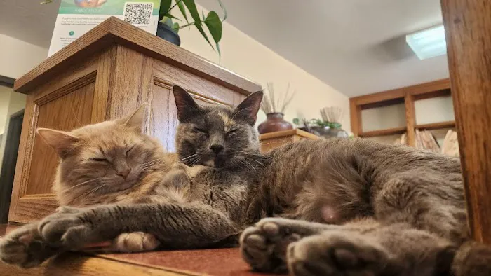 Northside Animal Clinic Picture 9