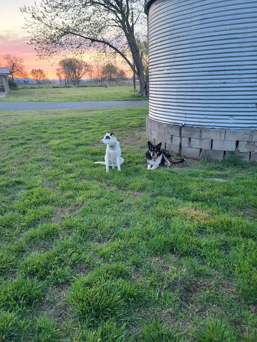 Animal Clinic of Wagoner Picture 3