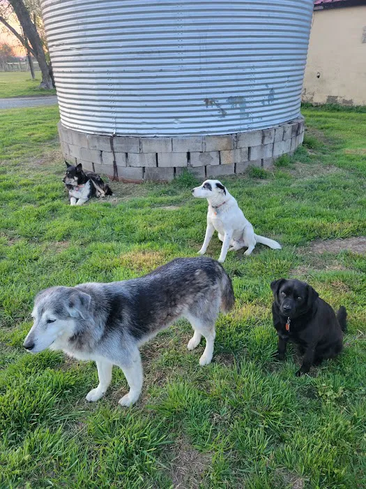 Animal Clinic of Wagoner Picture 1