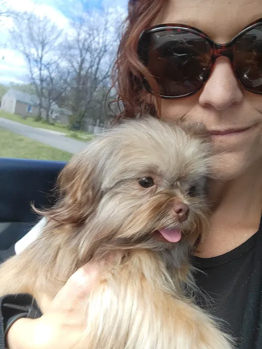 Animal Clinic of Wagoner Picture 5