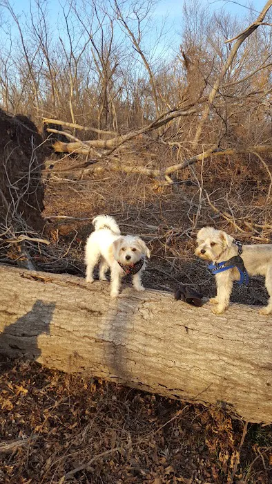 Animal Clinic of Wagoner Picture 8