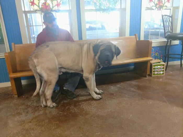 Animal Clinic of Wagoner Picture 9