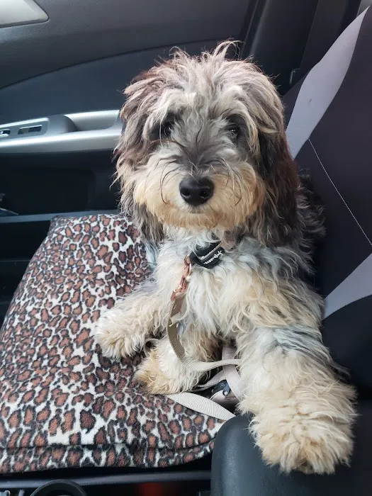 Southwest Pet Hospital Picture 4