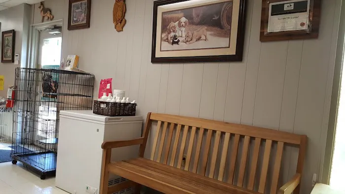 Southwest Pet Hospital Picture 7