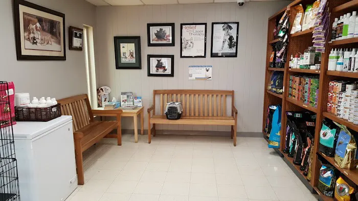 Southwest Pet Hospital Picture 8