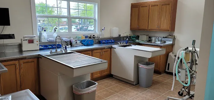 St Francis Animal Hospital Picture 2