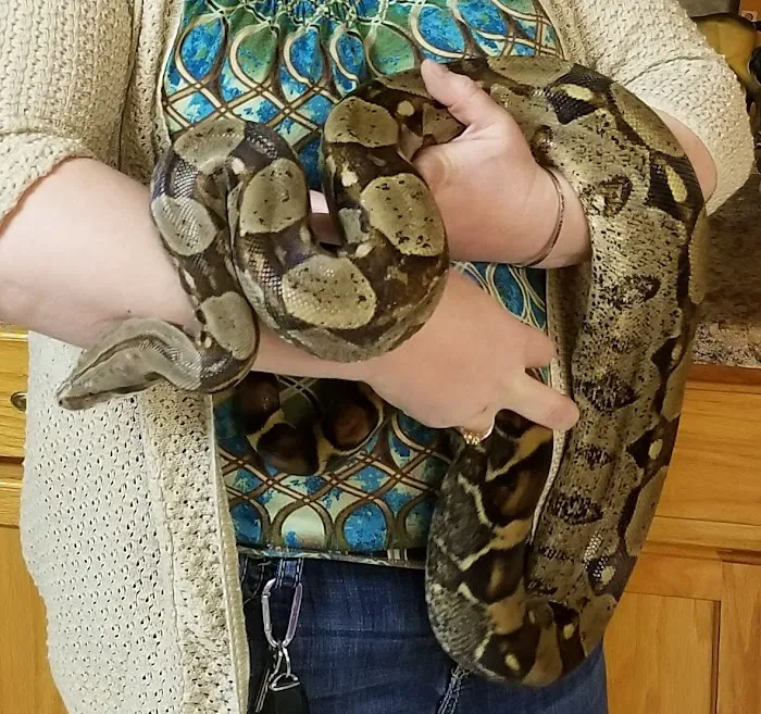 St Francis Animal Hospital Picture 9