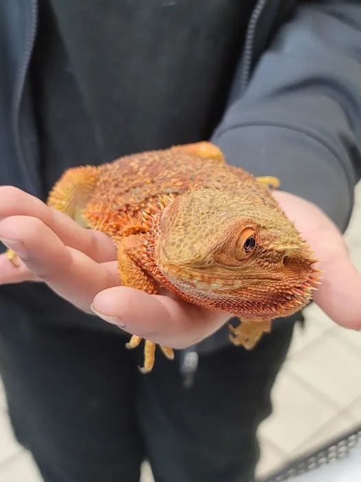 St Francis Animal Hospital Picture 8