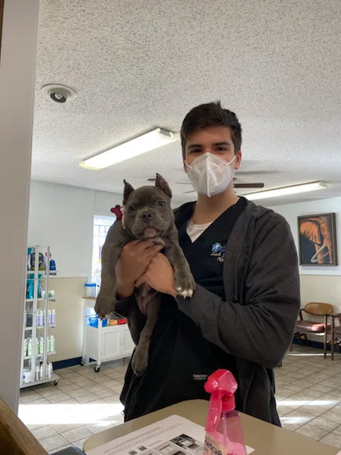 St Francis Animal Hospital Picture 6