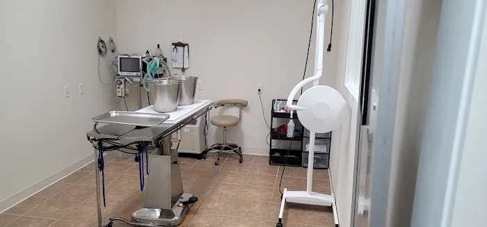 St Francis Animal Hospital Picture 7
