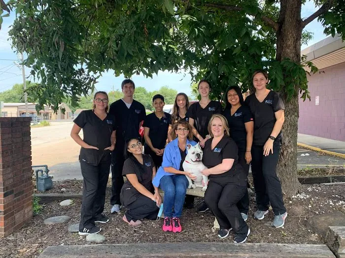 St Francis Animal Hospital Picture 5