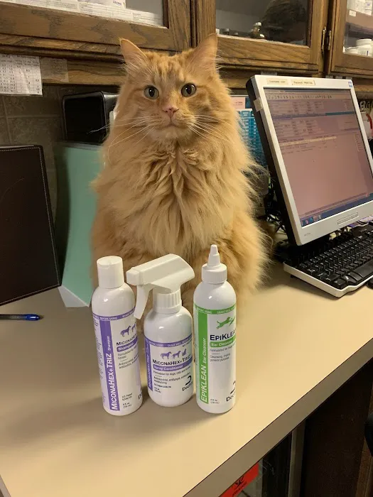 St Francis Animal Hospital Picture 10