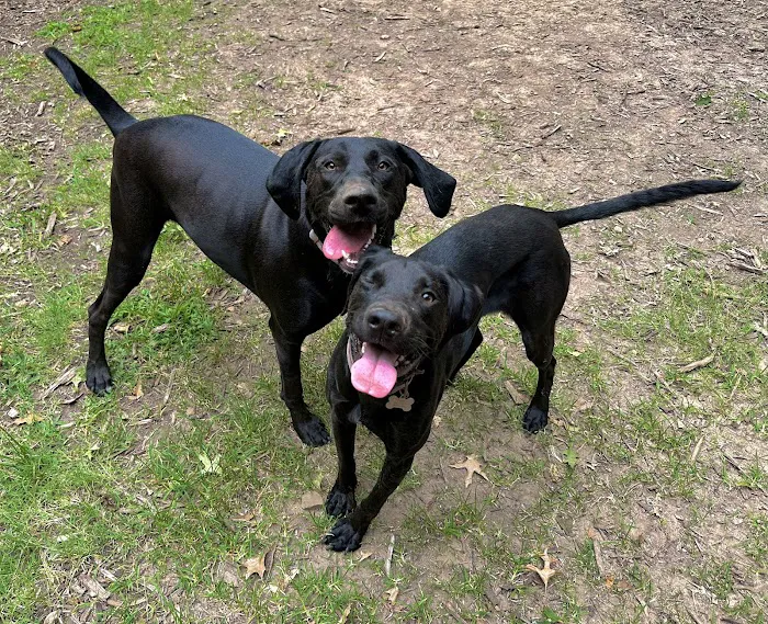 West Oaks Animal Hospital Picture 1