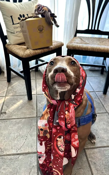 West Oaks Animal Hospital Picture 3