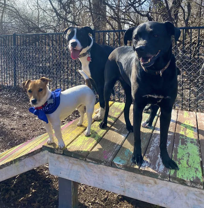 West Oaks Animal Hospital Picture 2