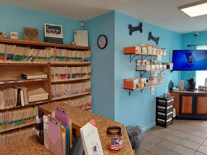 West Oaks Animal Hospital Picture 4