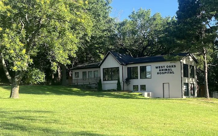 West Oaks Animal Hospital Picture 6