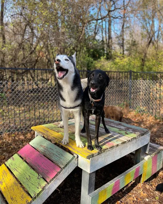 West Oaks Animal Hospital Picture 7