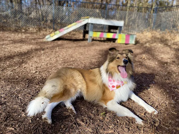 West Oaks Animal Hospital Picture 5