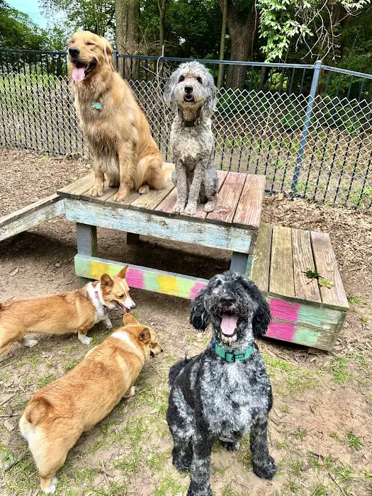 West Oaks Animal Hospital Picture 9