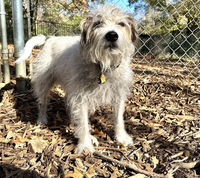 West Oaks Animal Hospital Picture 10