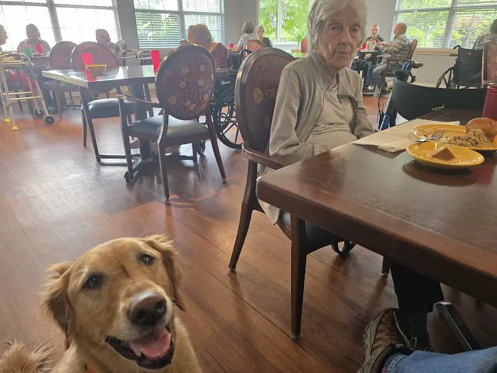 Fayetteville Veterinary Medical Center Picture 3