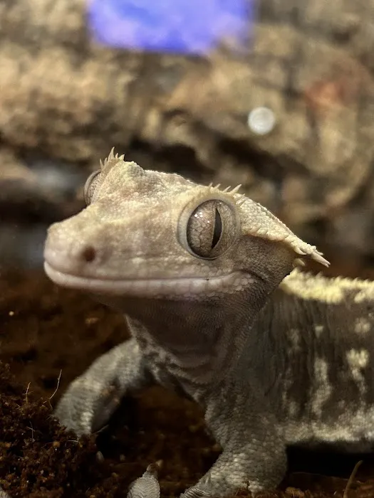 Fayetteville Veterinary Medical Center Picture 5